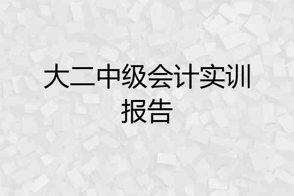 大二中级会计实训报告