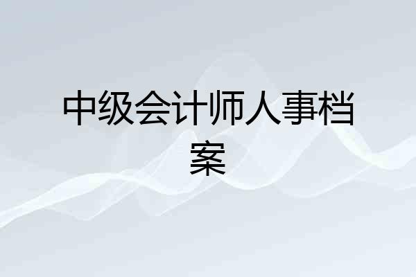 中级会计师人事档案
