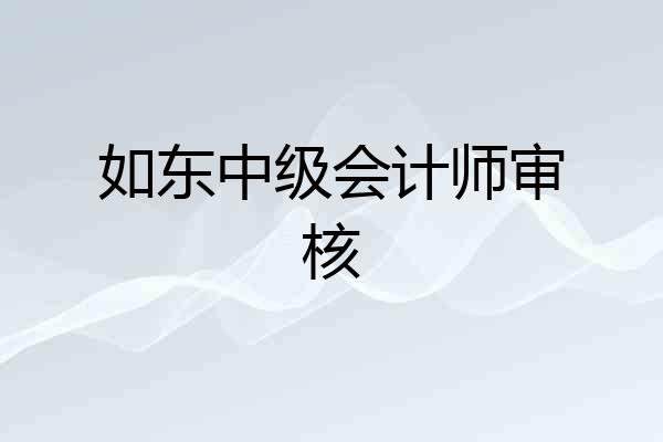 如东中级会计师审核