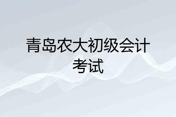 青岛农大初级会计考试