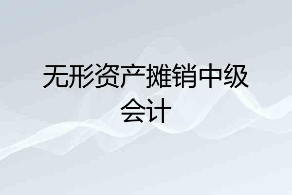无形资产摊销中级会计