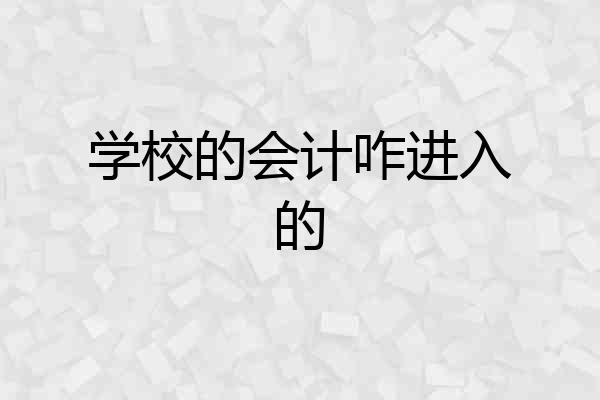 学校的会计咋进入的