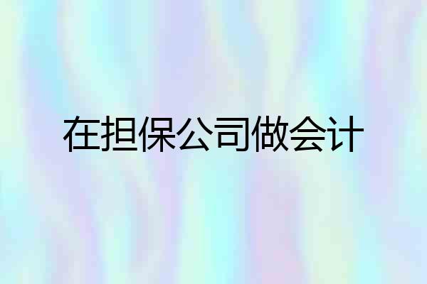 在担保公司做会计
