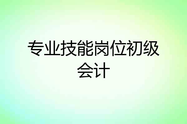 专业技能岗位初级会计