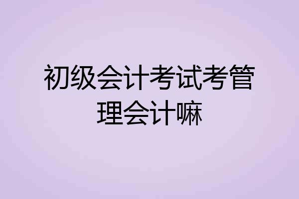 初级会计考试考管理会计嘛
