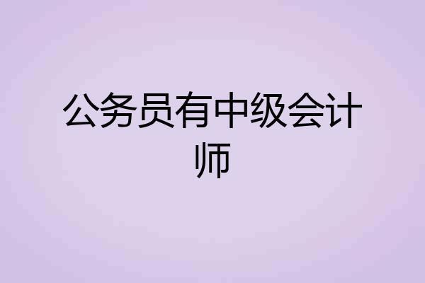 公务员有中级会计师