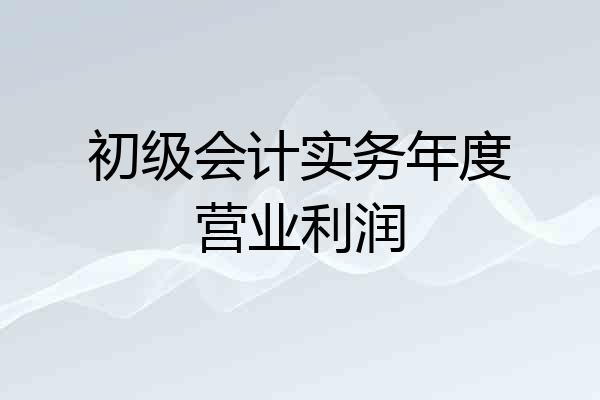 初级会计实务年度营业利润