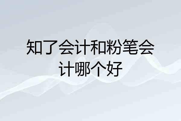 知了会计和粉笔会计哪个好