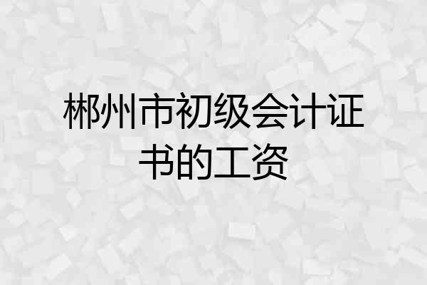 郴州市初级会计证书的工资
