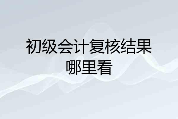 初级会计复核结果哪里看