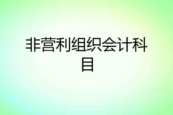 非营利组织会计科目