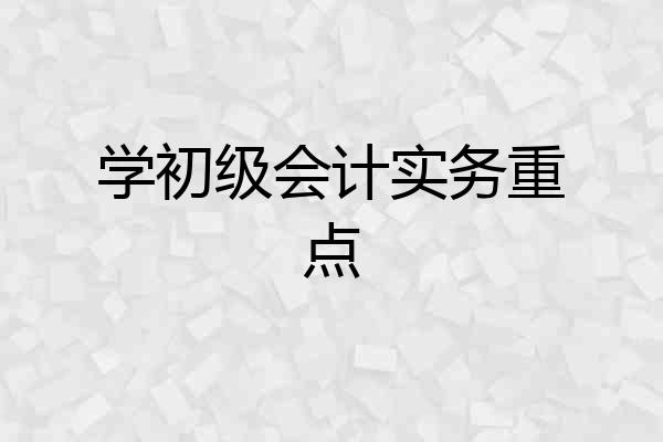 学初级会计实务重点
