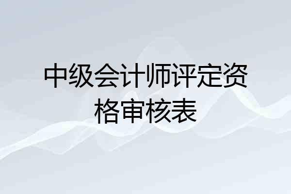 中级会计师评定资格审核表