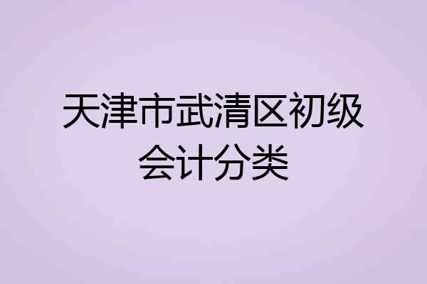 天津市武清区初级会计分类