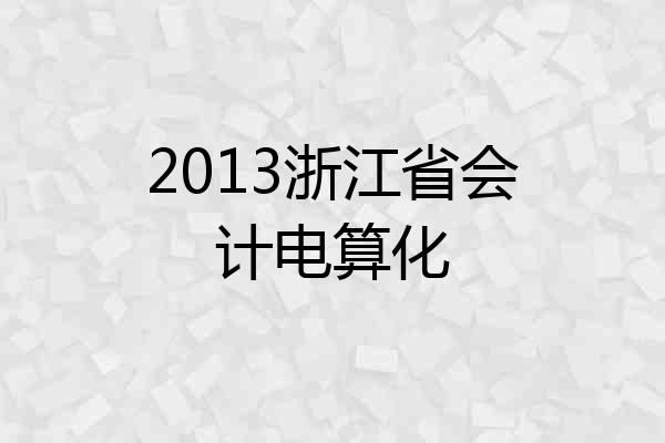 2013浙江省会计电算化