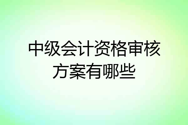 中级会计资格审核方案有哪些