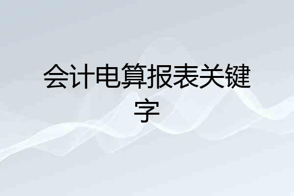会计电算报表关键字