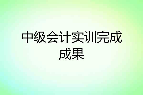 中级会计实训完成成果