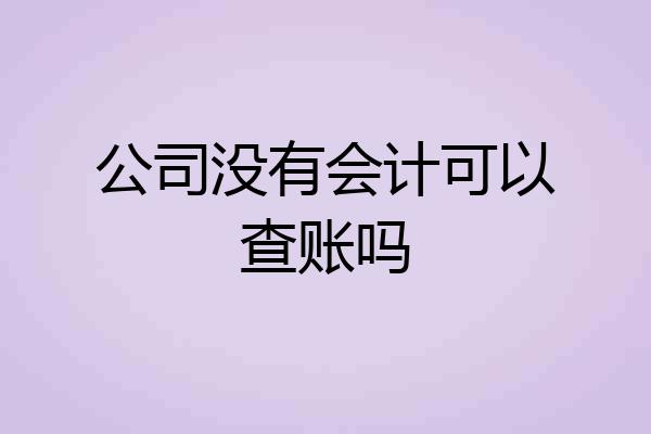公司没有会计可以查账吗