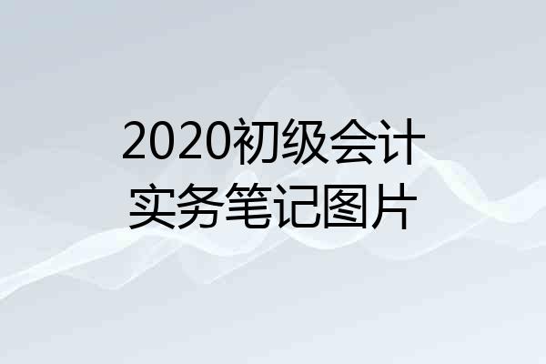2020初级会计实务笔记图片