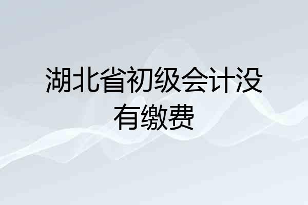 湖北省初级会计没有缴费