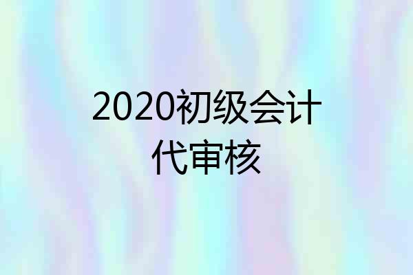2020初级会计代审核