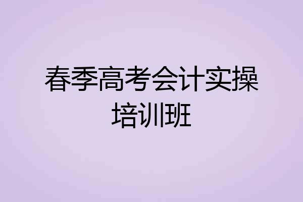 春季高考会计实操培训班