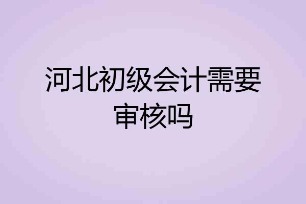 河北初级会计需要审核吗