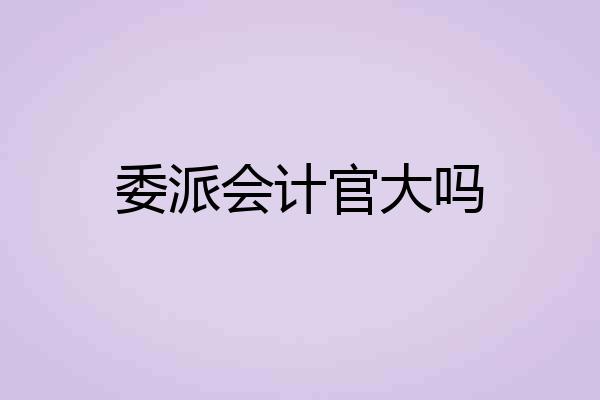 委派会计官大吗
