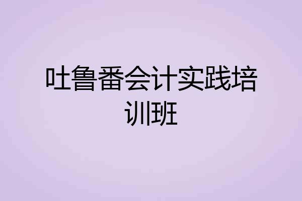 吐鲁番会计实践培训班