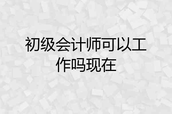 初级会计师可以工作吗现在