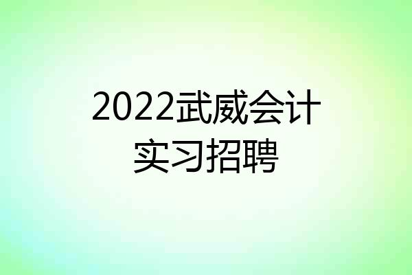 2022武威会计实习招聘