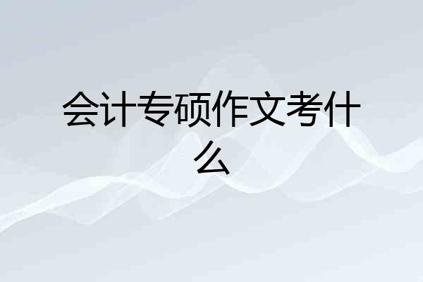会计专硕作文考什么