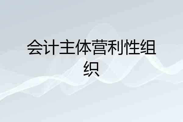 会计主体营利性组织