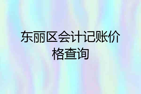 东丽区会计记账价格查询