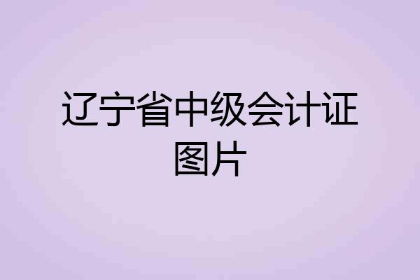 辽宁省中级会计证图片