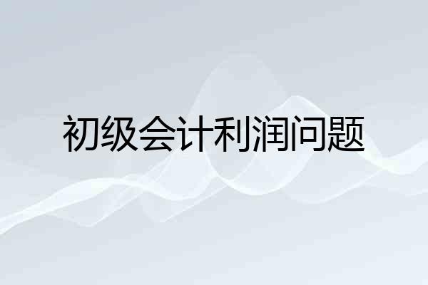 初级会计利润问题