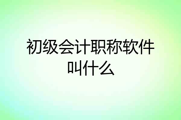 初级会计职称软件叫什么