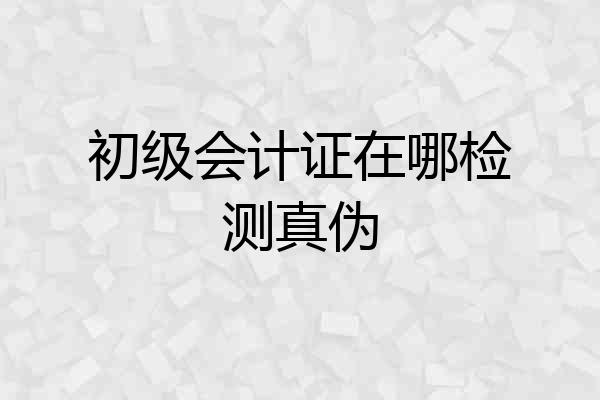 初级会计证在哪检测真伪