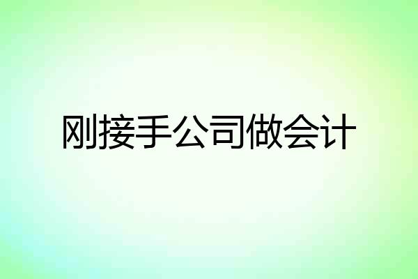 刚接手公司做会计