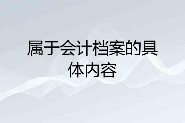 属于会计档案的具体内容