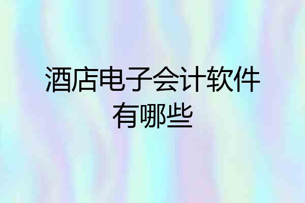 酒店电子会计软件有哪些