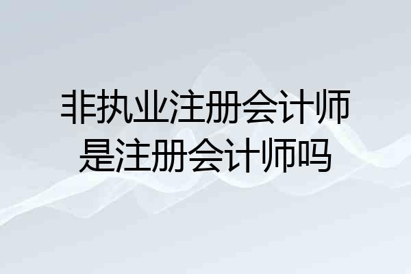 非执业注册会计师是注册会计师吗