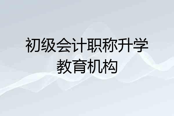 初级会计职称升学教育机构