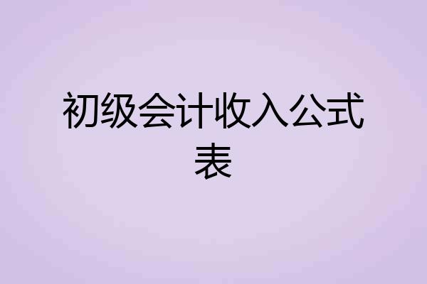 初级会计收入公式表