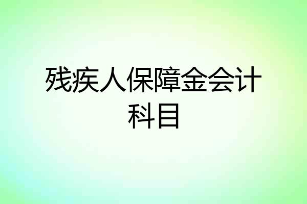 残疾人保障金会计科目