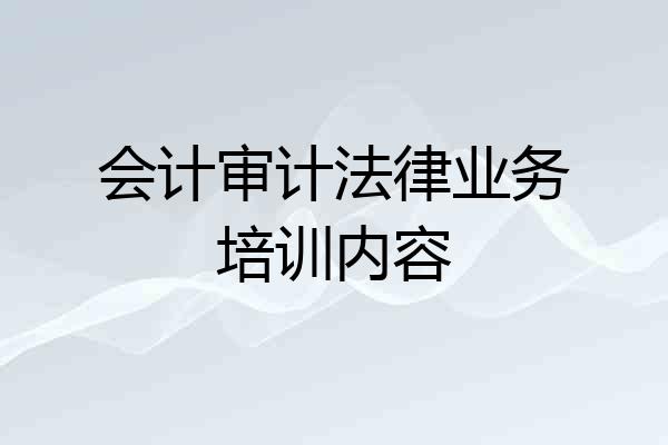 会计审计法律业务培训内容