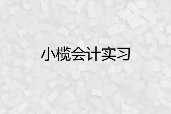 小榄会计实习
