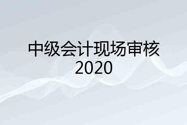 中级会计现场审核2020