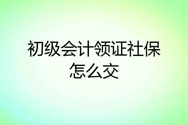 初级会计领证社保怎么交